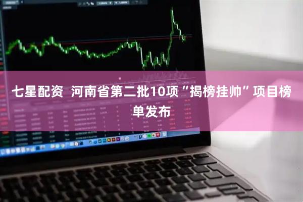 七星配资  河南省第二批10项“揭榜挂帅”项目榜单发布